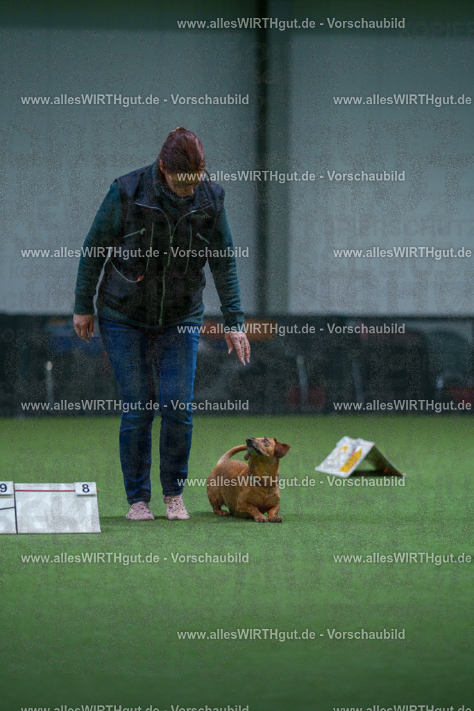 7R501890 | Professionelle Tierfotografie in Mönchengladbach von Daniel Wirth (allesWIRTHgut). Liebevolle & natürliche Bilder von Hunden & Katzen für unvergessliche Erinnerungen.