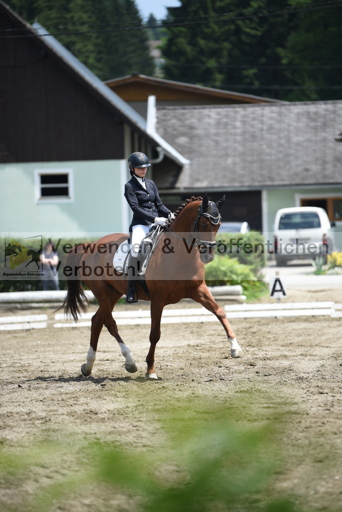 DSC_9517 | equestrian-live-com