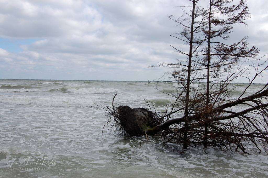 02E9597E-4046-4BCA-9939-18319097F6E3 | Franz Podek