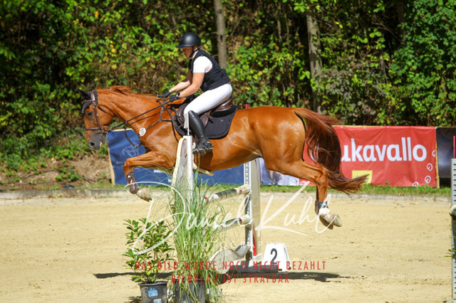 DKP43240 | Turniersportfotografie; Pferdefotografie; Dressurfotografie