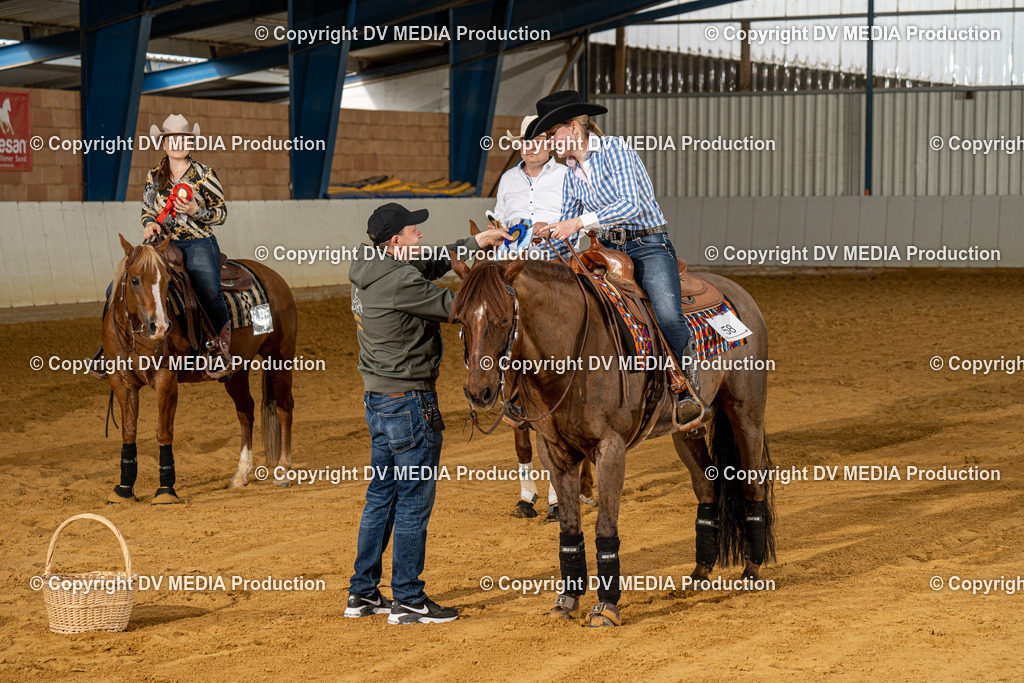 MIT00330 | dv-media-shop - Realisiert mit Pictrs.com