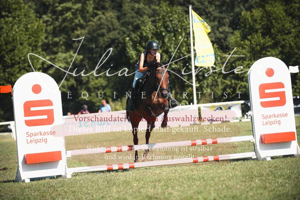 DSC_7461 | Pferde- und Turnierfotografie in Westsachsen. Pferdeportraits, Auftragszeichnungen und intuitive Kunst.