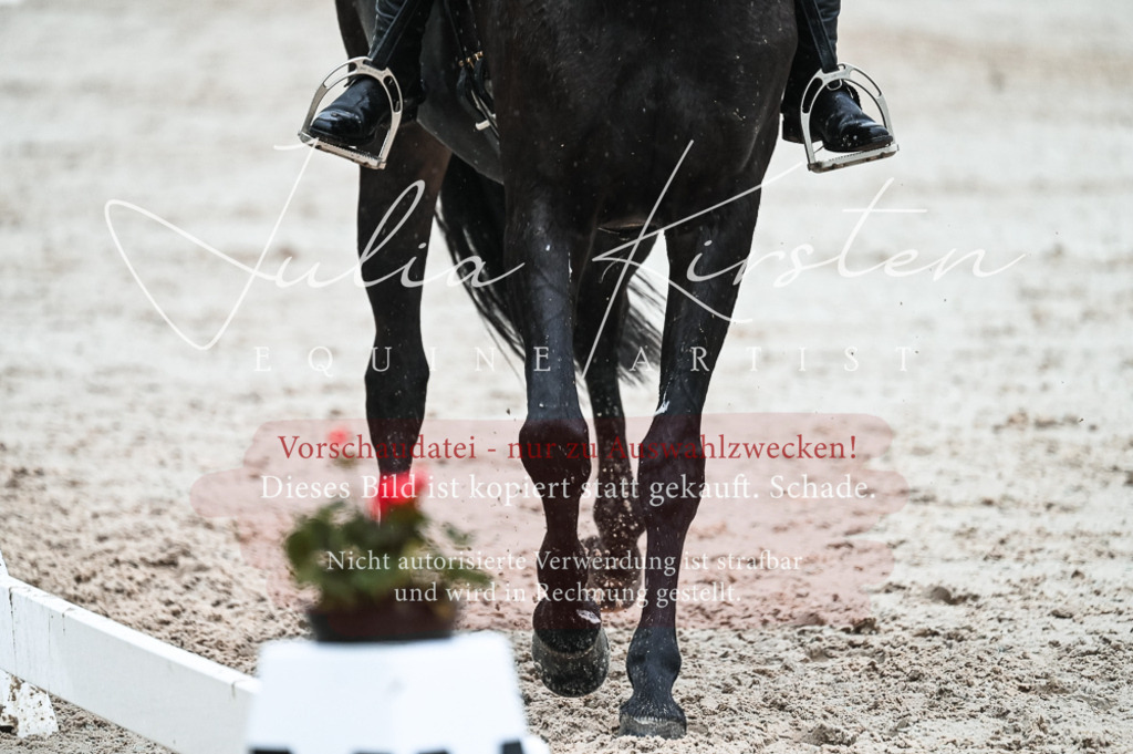 DSC_4495 | Pferde- und Turnierfotografie in Westsachsen. Pferdeportraits, Auftragszeichnungen und intuitive Kunst.