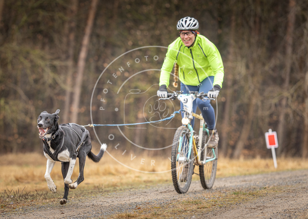 DV3A3207 | Hundefotografie, Tierfotograf, Pfotenfotografie, Fotoshooting Hund, Hunde Portrait, Hundesport, Hundeportraits, Heideshooting, Hunde, Sportfotograf, Hundefotograf, Turnierhundsport, THS,  - Realisiert mit Pictrs.com