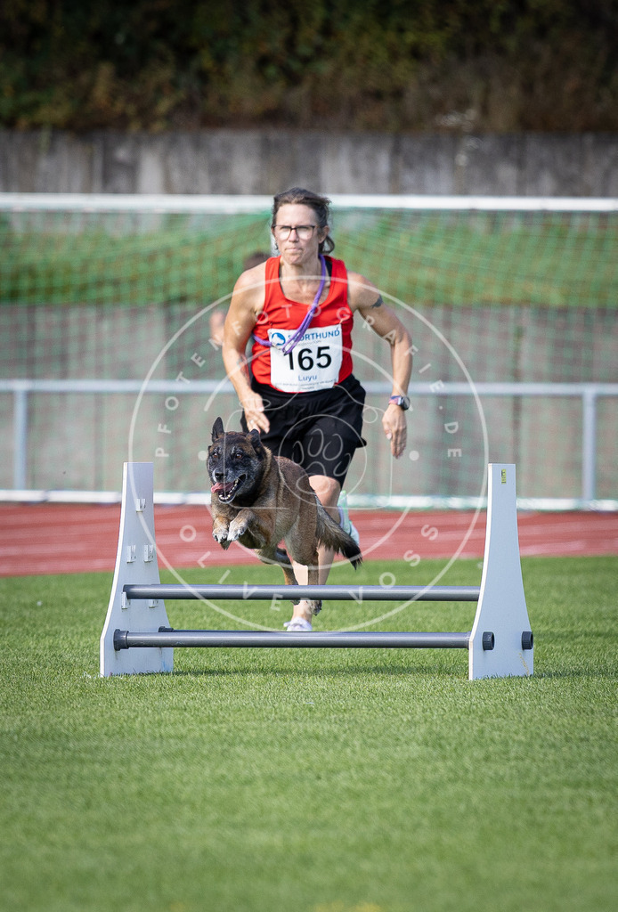Pfotenfotografie_DV3A9756 | Hundefotografie, Tierfotograf, Pfotenfotografie, Fotoshooting Hund, Hunde Portrait, Hundesport, Hundeportraits, Heideshooting, Hunde, Sportfotograf, Hundefotograf, Turnierhundsport, THS,  - Realisiert mit Pictrs.com