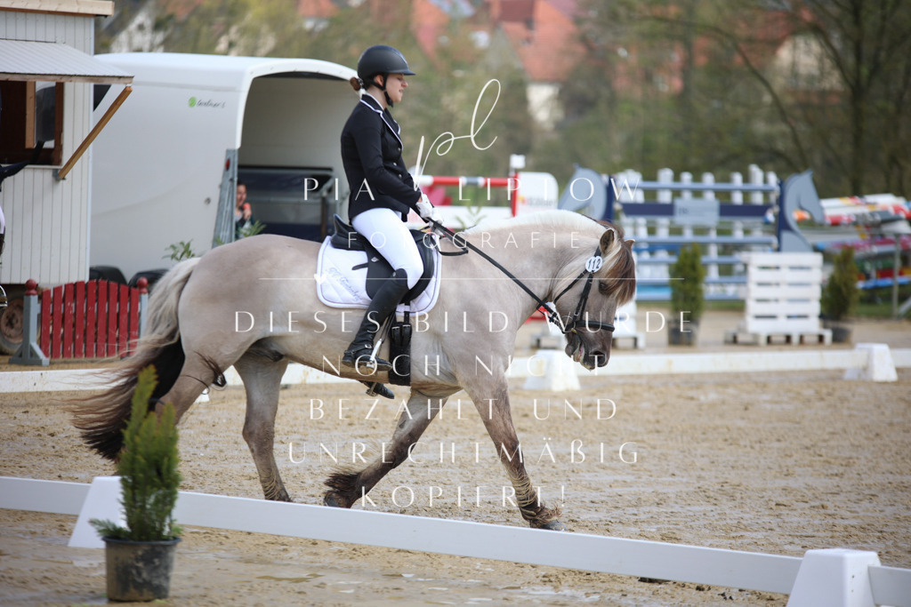 IMGT3346 | pl-fotografie