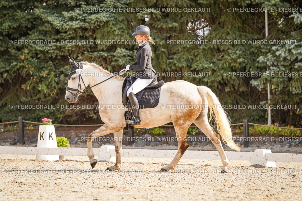 DSC00575 | Pferdegrafie