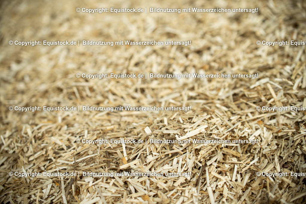 20190409_Leinen-Stroh_0004 | Foto: Thomas Hartig