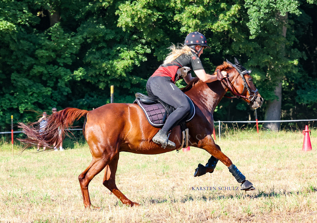 1B3A8455 | Reitsport Reiten