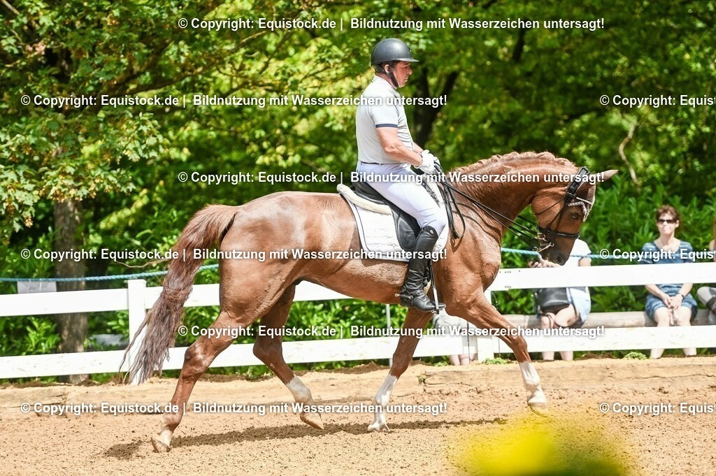 20230716_01_Dressurprüfung Kl.M_0092 | equistock