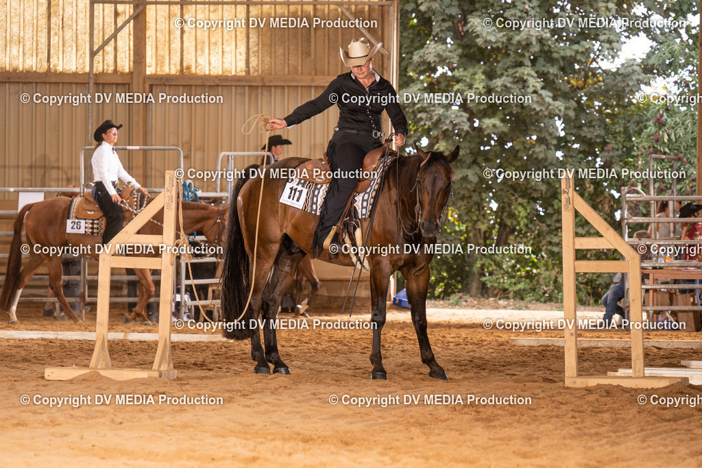 NID00620 | dv-media-shop - Realisiert mit Pictrs.com