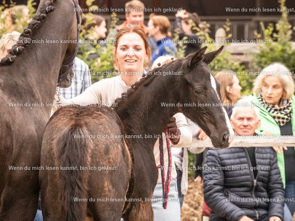 A10I1721 | photographylinaismer - Realisiert mit Pictrs.com