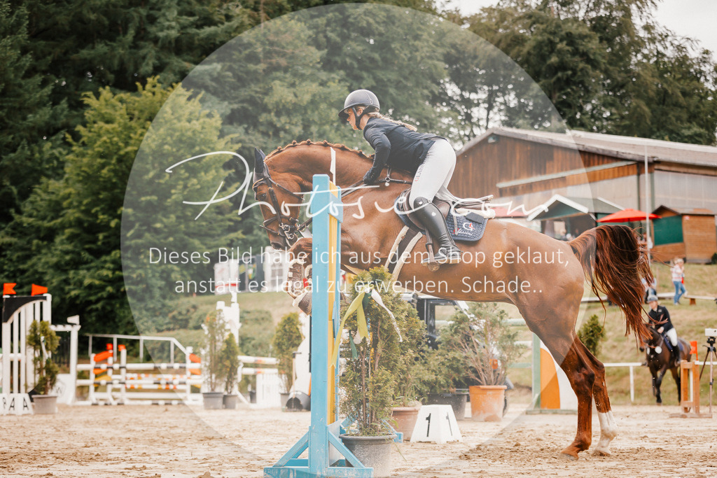 3I6A2467 | Stimmungsvolle Portraits und Reitsportfotografie im Ruhrgebiet und im Münsterland.

Pferdefotografie, Hundefotografie, Tierfotografie, Reportagen, Portraits von Tier und Mensch, Turnierfotografie in Bochum, Recklinghausen, Marl, Haltern am See, Dülmen.. - Realisiert mit Pictrs.com