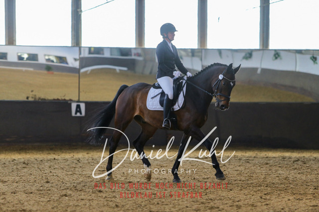 IMG_2747 | Turniersportfotografie; Pferdefotografie; Dressurfotografie