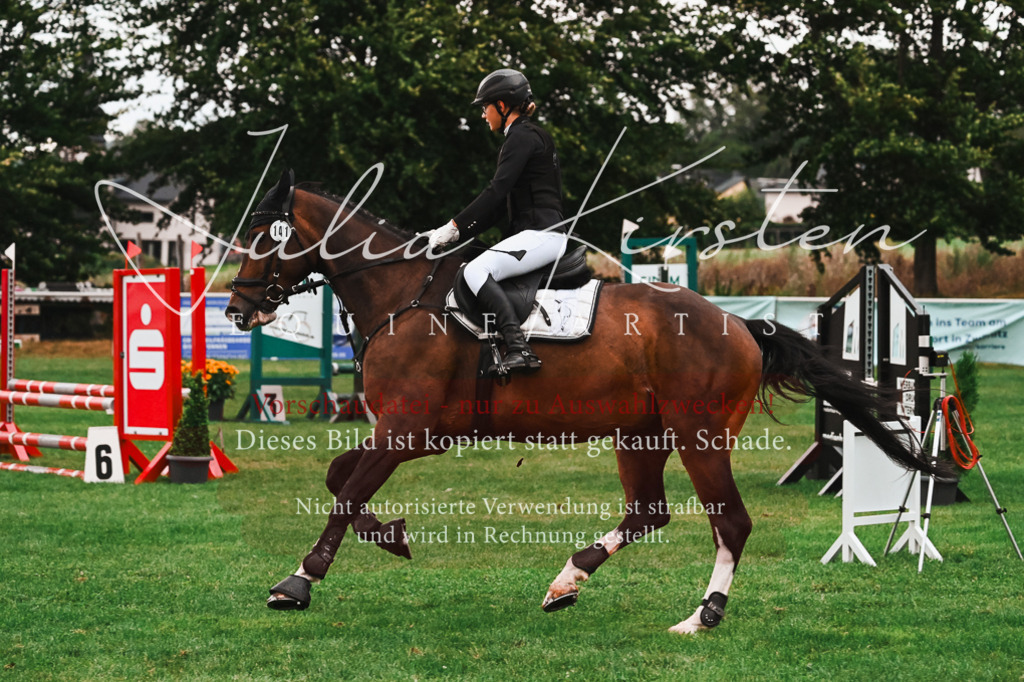 DSC_6143 | Pferde- und Turnierfotografie in Westsachsen. Pferdeportraits, Auftragszeichnungen und intuitive Kunst.