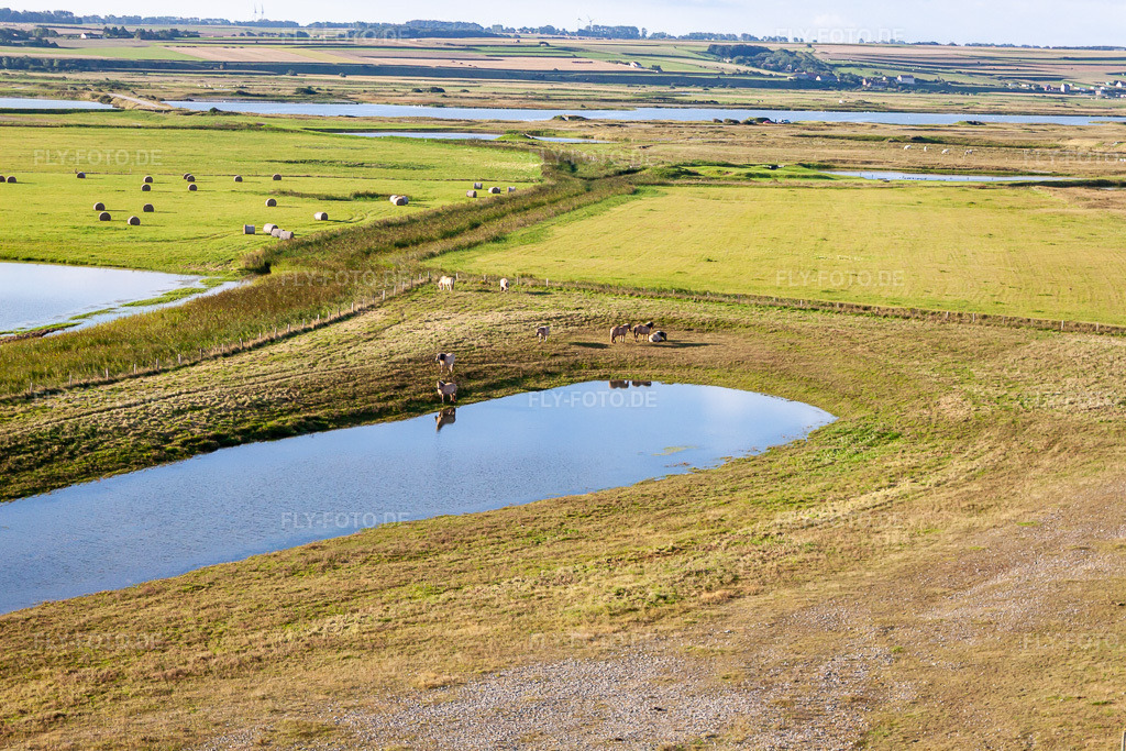 Luftbild: Weiden hinter dem Deich in Woignarue im Bundesland Somme in Frankreich. Foto: IMG_70879.jpg vom 24.08.2014 durch Werner Riehm/FLY-FOTO.de