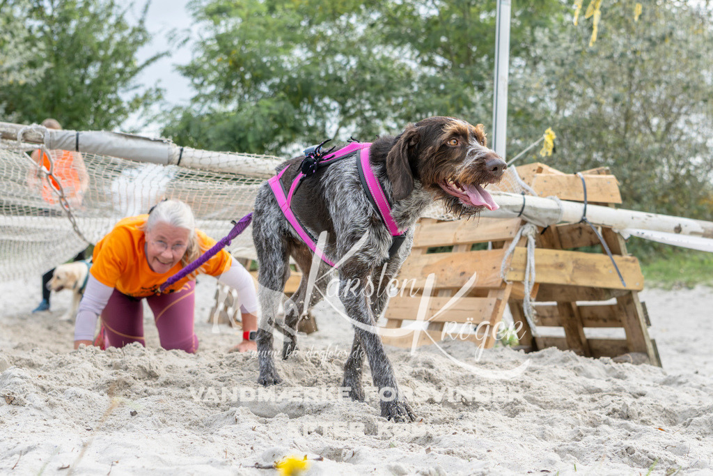 1503_ZZ92684 | kk-dogfotos