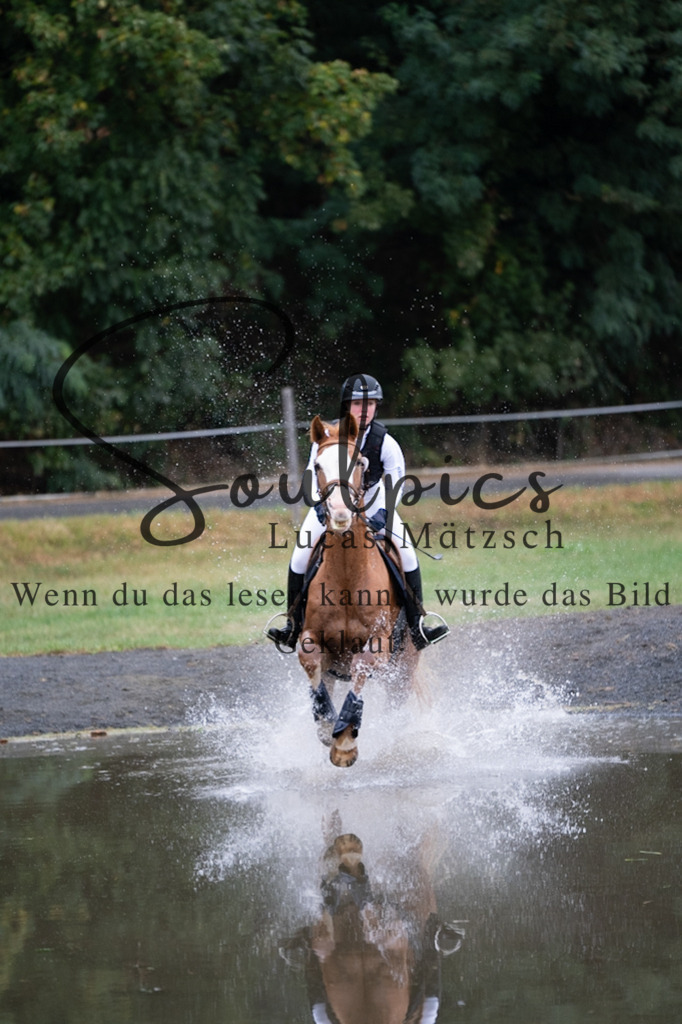 A7V00176 | Pferdefotograf