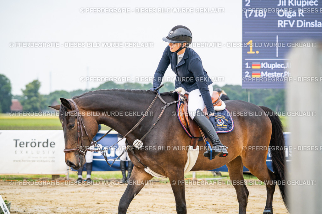 DSC09287 | Pferdegrafie