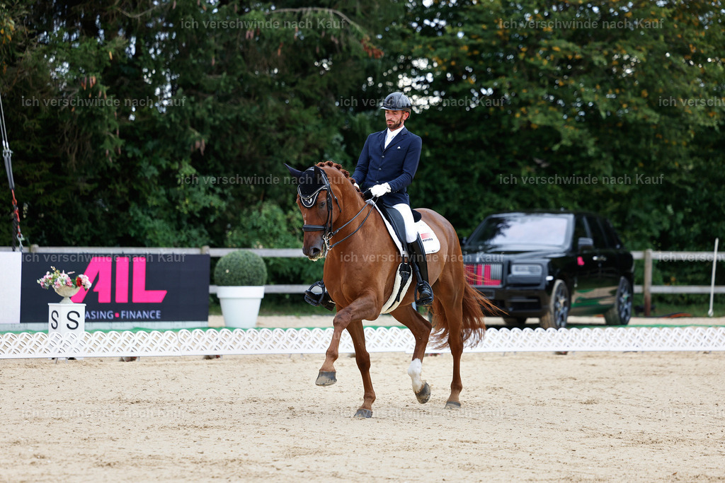 04_1-165-Dressur M__ -StoibPH-StoibPH-2626 | working equitationturnier fotograf videograf stoibphotography marixx film working equitation deutschland reitsport turnierfotografie eventfotografie equestrian events