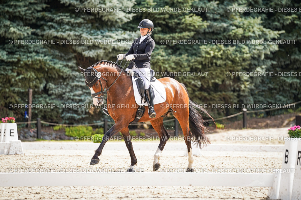 DSC09036 | Pferdegrafie