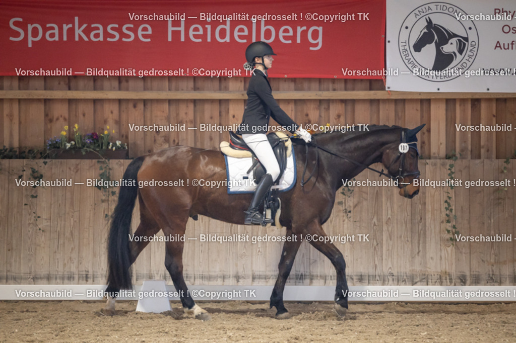 _D5A2213 | Emotionale Pferde- & People-Fotografie rund um Heidelberg, Leimen & Umgebung. Natürliche Fotos von Pferd, Mensch & Familie. Jetzt Termin sichern!