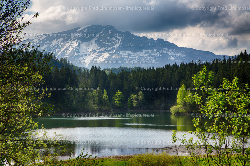 Otscher  (23) | Fotos und Fotoprodukte - Realisiert mit Pictrs.com