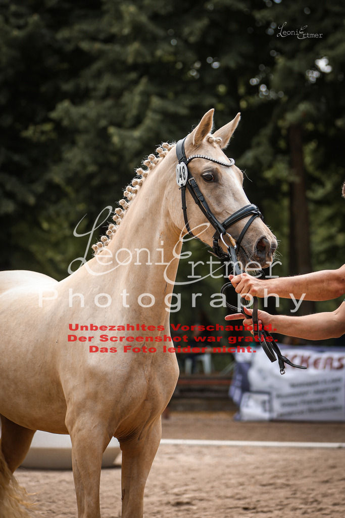 8.So00082 | Leoni Ertmer Photography - Realisiert mit Pictrs.com