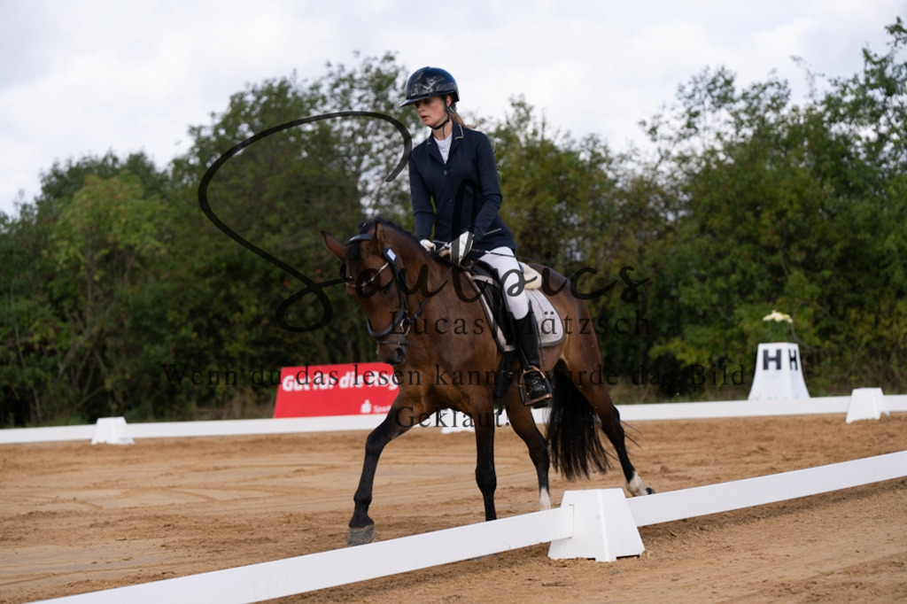 A7V05193 | Pferdefotograf