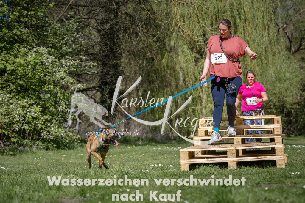 1225_ZZ91533 | kk-dogfotos