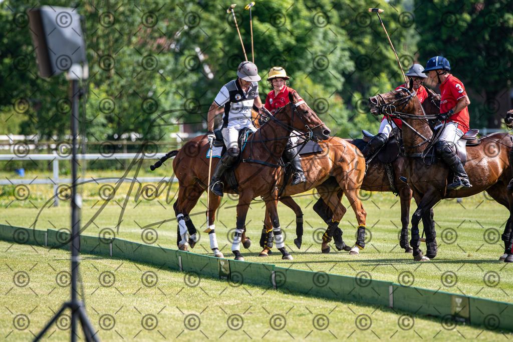 POL_2376 | andre_photographic