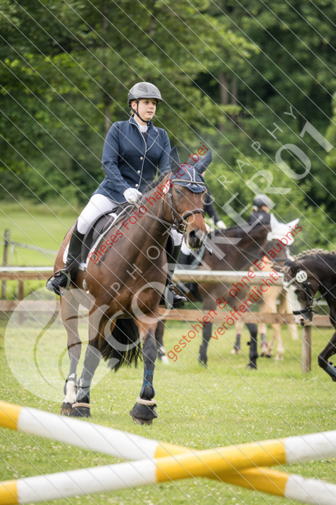 IMG_2489 | Sport-, Event- und Tierfotos in Profiqualität. Einfach auswählen, bestellen und herunterladen. Dein Moment – perfekt festgehalten.