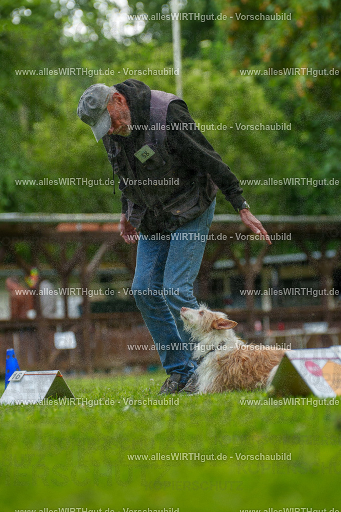 @allesWIRTHgut_Tierfotografie - www.allesWIRTHgut.de - 7R501396 | Professionelle Tierfotografie in Mönchengladbach von Daniel Wirth (allesWIRTHgut). Liebevolle & natürliche Bilder von Hunden & Katzen für unvergessliche Erinnerungen.