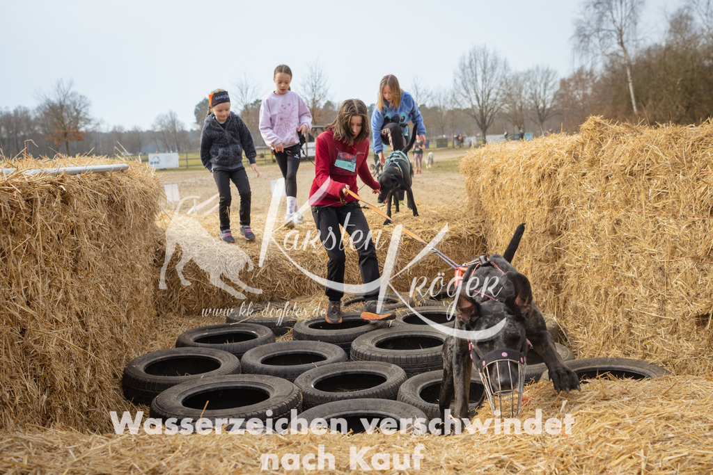 1052_ZZ90510 | kk-dogfotos