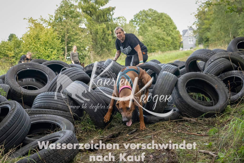 1509_ZZ91256-Bearbeitet | kk-dogfotos