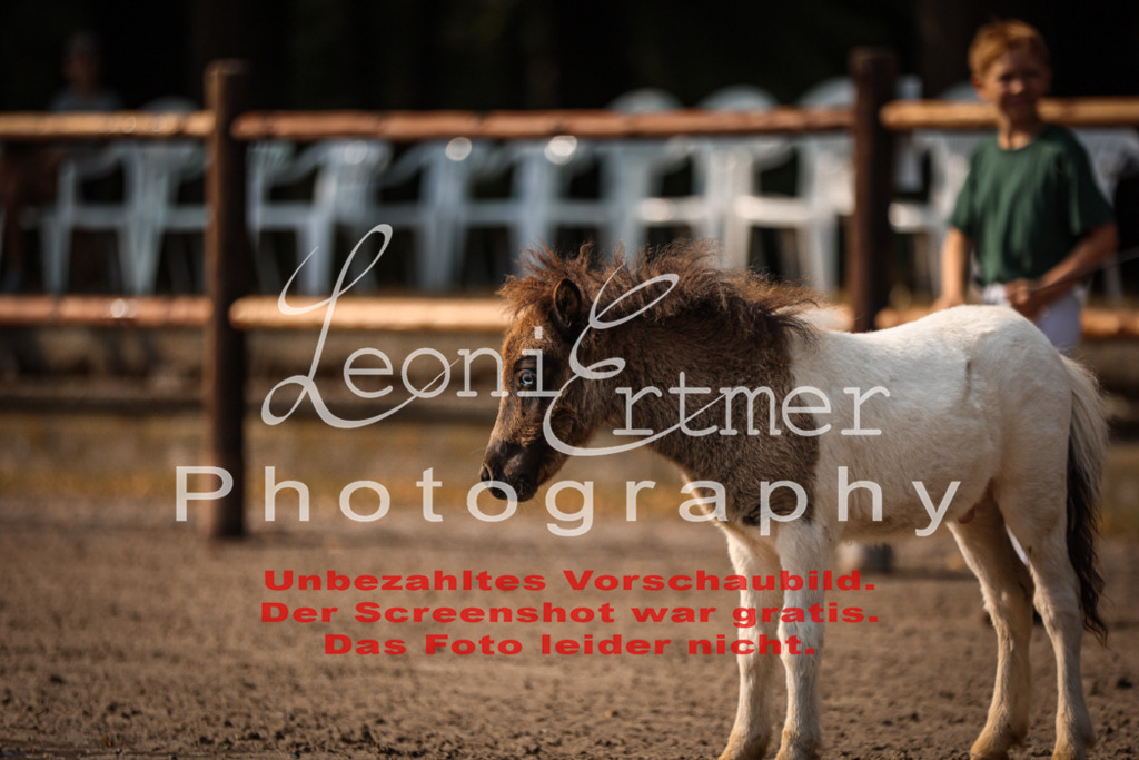 1.Fr00027 | Leoni Ertmer Photography - Realisiert mit Pictrs.com