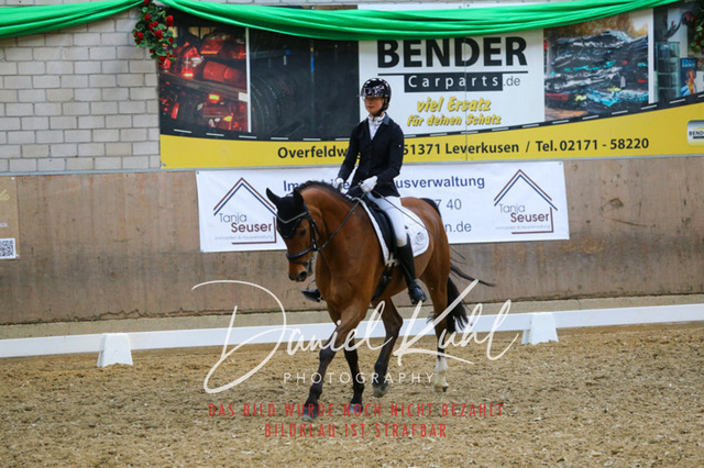 IMG_2590 | Turnierfotos kaufen im Webshop von Daniel Kuhl Photography – entdecke professionelle Reitsportfotos aus Turnieren & Events. Hochwertige Turnierbilder online bestellen & sichern. Jetzt Fotos von Reitsportturnieren kaufen!