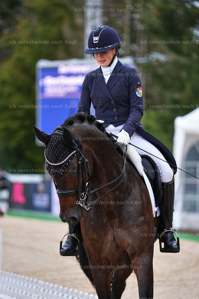 8_2-056-DRESSUR S_  -Marixx-4594 | working equitationturnier fotograf videograf stoibphotography marixx film working equitation deutschland reitsport turnierfotografie eventfotografie equestrian events