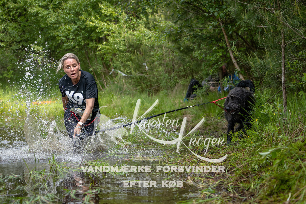 1044DKK993631 | kk-dogfotos