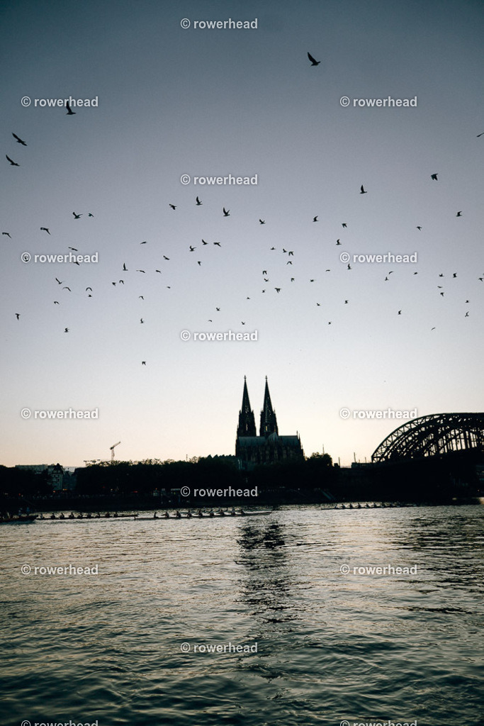 20250830_rowerhead_Stadtachter_S0686_DSC03459 | rowerhead - Realisiert mit Pictrs.com