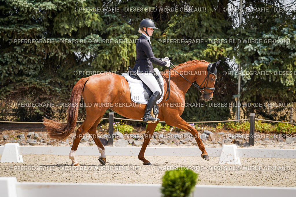 DSC00835 | Pferdegrafie