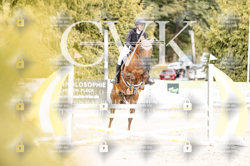 CK902356 | Turnierfotografie Pferdefotografie Trier Rheinland-Pfalz Pferdesport Reitsport Tierfotografie Sportfotografie Pferdevideo Pferdevideografie Equestrianvideography equestrianphotography  - Realisiert mit Pictrs.com
