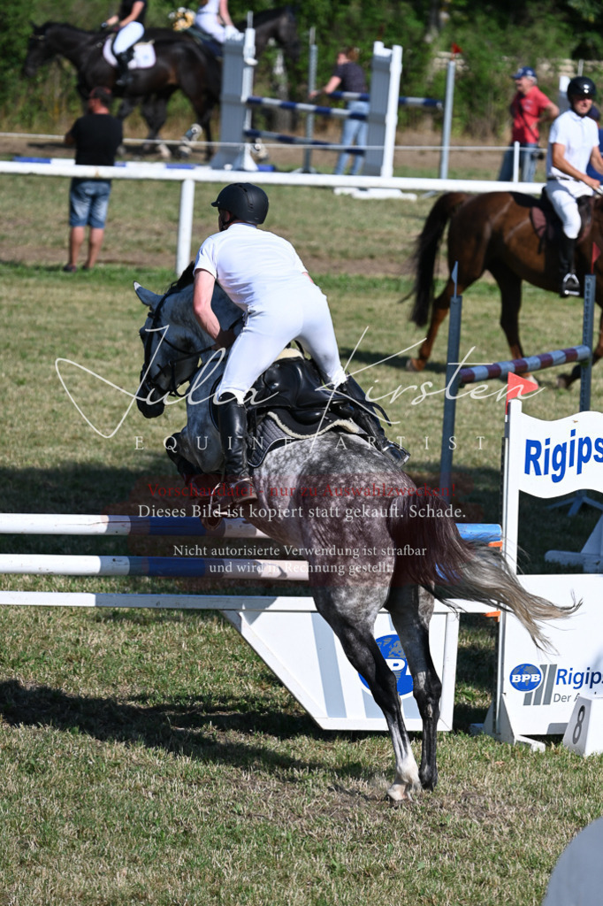 DSC_2243 | Pferde- und Turnierfotografie in Westsachsen. Pferdeportraits, Auftragszeichnungen und intuitive Kunst.