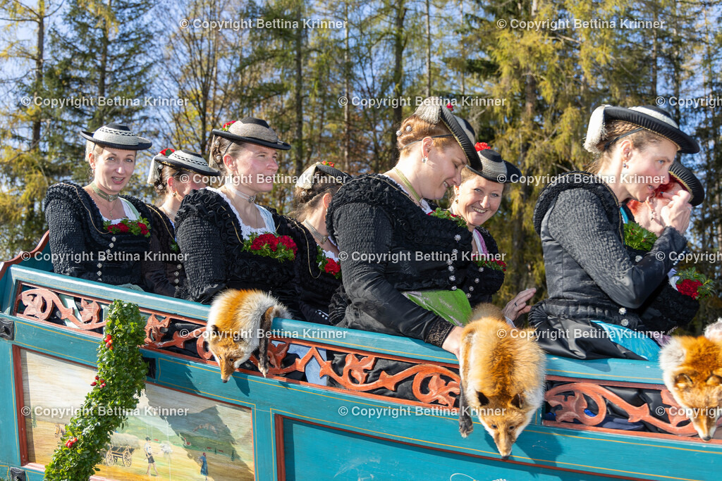 LBT24-1305 | foto-bettina-krinner - Realisiert mit Pictrs.com