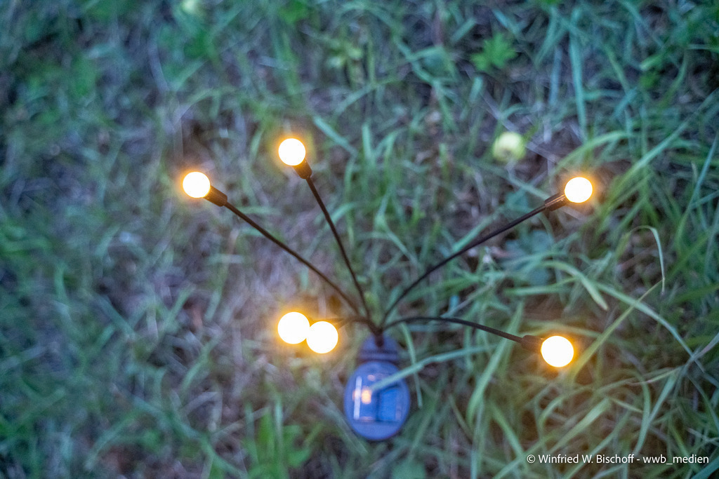 _DSC1711 | <Fotografie> <Video> <Film> <Winfried Bischoff> - Realisiert mit Pictrs.com