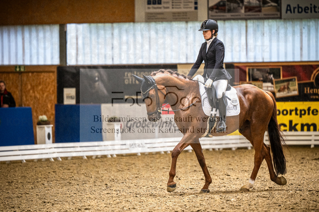 DOS_0994 | Entdecke hochwertige Reitturnierfotos von Foto Oger. Professionell, emotional und authentisch – jetzt Lieblingsmomente im Shop bestellen.Deutschlandweite Turnierfotografie. - Realisiert mit Pictrs.com