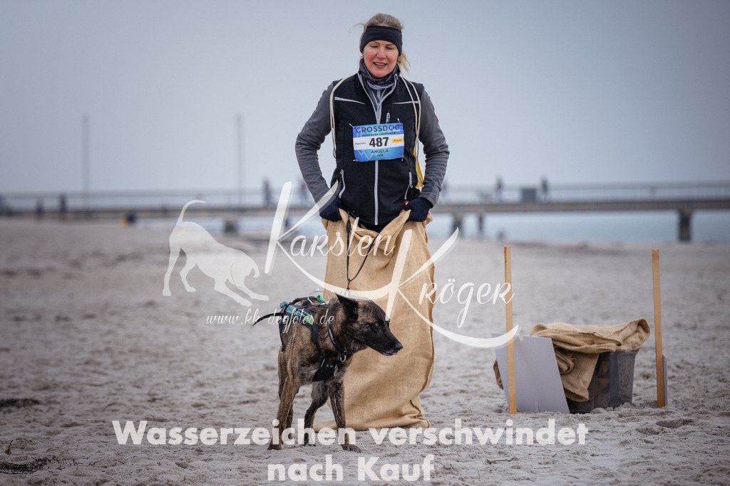 1205_ZZ91906 | kk-dogfotos
