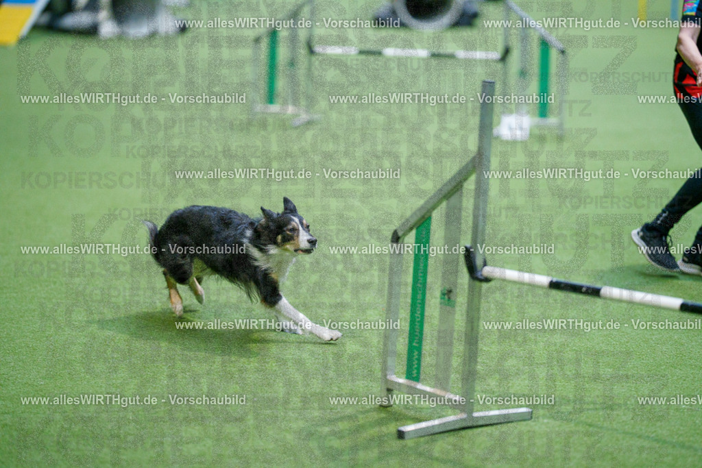 @allesWIRTHgut_Tierfotografie - www.allesWIRTHgut.de - 2604250816-7R505996 | Professionelle Tierfotografie in Mönchengladbach von Daniel Wirth (allesWIRTHgut). Liebevolle & natürliche Bilder von Hunden & Katzen für unvergessliche Erinnerungen.