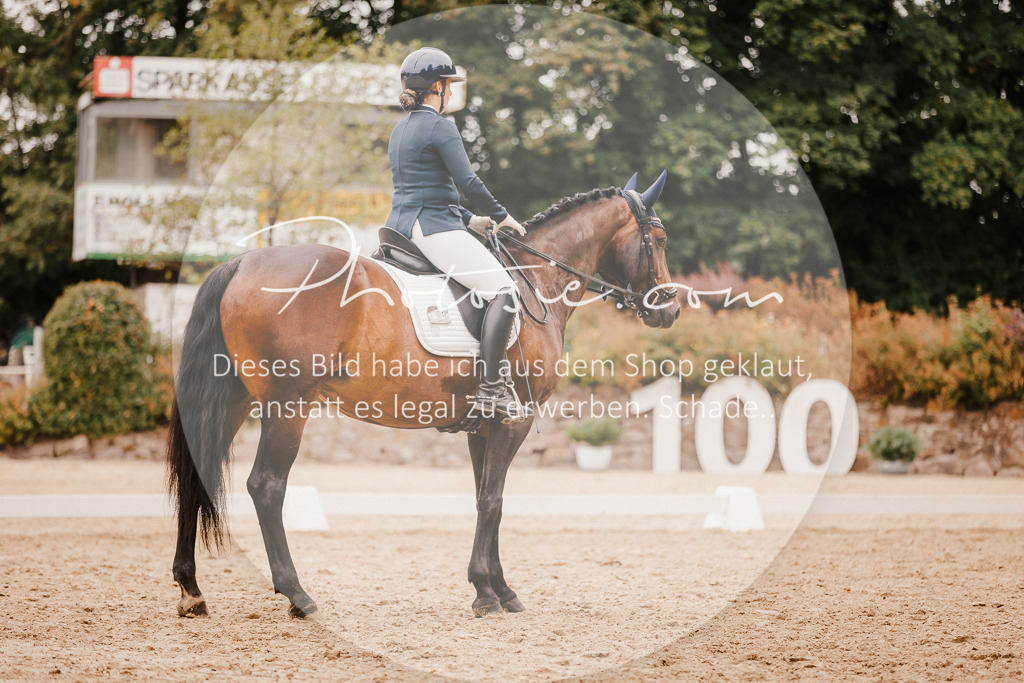 3I6A5943 | Stimmungsvolle Portraits und Reitsportfotografie im Ruhrgebiet und im Münsterland.

Pferdefotografie, Hundefotografie, Tierfotografie, Reportagen, Portraits von Tier und Mensch, Turnierfotografie in Bochum, Recklinghausen, Marl, Haltern am See, Dülmen.. - Realisiert mit Pictrs.com