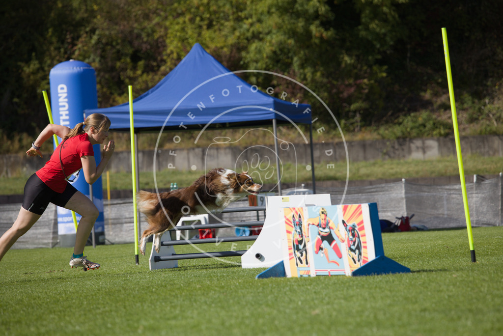 0L8A8767 | Hundefotografie, Tierfotograf, Pfotenfotografie, Fotoshooting Hund, Hunde Portrait, Hundesport, Hundeportraits, Heideshooting, Hunde, Sportfotograf, Hundefotograf, Turnierhundsport, THS,  - Realisiert mit Pictrs.com